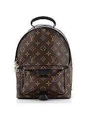 Louis Vuitton Backpack