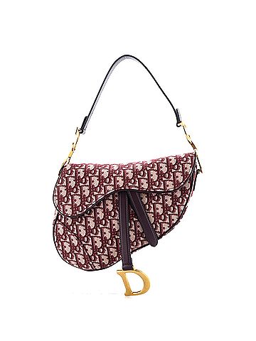Christian Dior Saddle Handbag Oblique Canvas Medium (view 1)