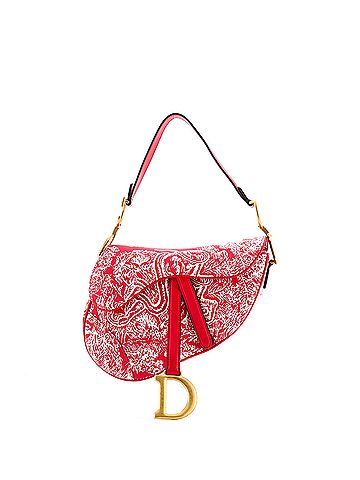 Christian Dior Toile De Jouy Saddle Bag Embroidered Canvas Medium (view 1)