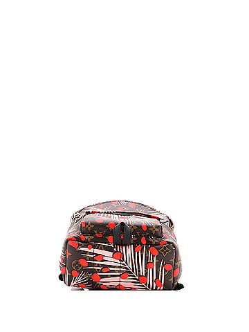 Louis Vuitton Palm Springs Backpack Limited Edition Monogram Jungle Dots PM (view 2)