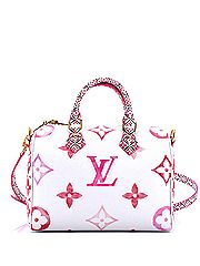 Louis Vuitton Crossbody Bag