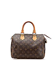 Louis Vuitton Satchel