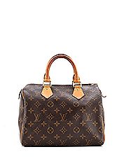 Louis Vuitton Shoulder Bag