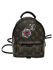 Louis Vuitton Backpack