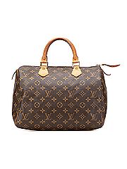 Louis Vuitton Satchel
