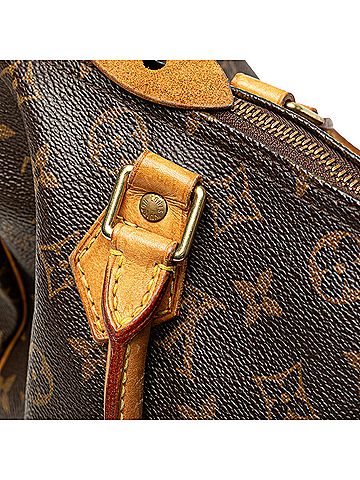 Louis Vuitton Monogram Speedy 30 (view 2)