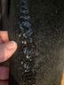 Glentex Black Jacket Size M - photo 10