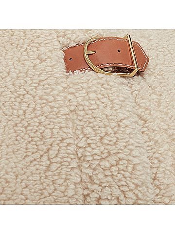 Céline Celine Teddy cashmere silk calfskin leather trim buckled coat (view 2)