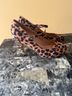 Bella Marie Animal Print Multi Color Black Heels Size 8 - photo 12