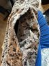 Athleta Animal Print Multi Color Sweatpants Size L - photo 3
