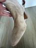 AQUATALIA 100% Suede Tan Ankle Boots Size 6 1/2 - photo 5