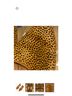 Madewell Animal Print Brown Black Flats Size 6 1/2 - photo 4