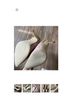 Luxe by Justfab Pink Gold Heels Size 9 - photo 9