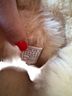 Ugg Brown Boots Size 10 - photo 5