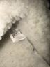 Lands' End Blue White Mule/Clog Size 7 - photo 4
