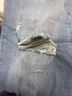 Torrid Blue Jeans Size 16 - photo 6