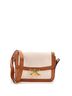 Céline Tan Triomphe Shoulder Bag Canvas with Leather Medium One size - photo 1