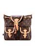 Louis Vuitton 100% Coatead Canvas Brown Excursion Backpack Monogram Canvas PM One size - photo 1