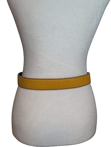 Talbots Belt (view 2)