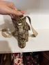 Coach Print Brown Crossbody Bag One size - photo 3