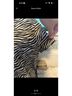 Michael Kors Animal Print White Brown Short Sleeve Blouse Size L - photo 3