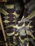 Boden 100% Cotton 100% Polyester Floral Multi Color Blazer Size 12 - photo 6