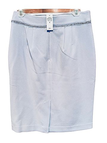 Ann Taylor Formal Skirt (view 2)
