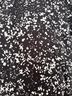Fabletics 100% Nylon Graphic Black Ivory Jacket Size S - photo 4