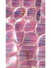 Claudio Orciani 100% Leather Animal Print Ombre Multi Color Pink Purple Leather Hobo One size - photo 7