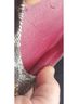 Coach 100% Leather Animal Print Color Block Graphic Ivory Burgundy Gold Flats Size 7 1/2 - photo 9
