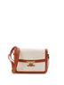 Céline Brown Triomphe Shoulder Bag Canvas with Leather Medium One size - photo 1