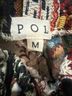 Pol Floral Multi Color Casual Pants Size M - photo 6