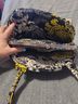 Vera Bradley Floral Black Yellow Gray White Satchel One size - photo 3