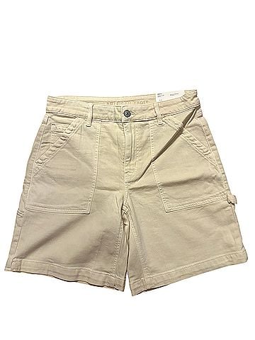 American Eagle Outfitters Carpenter Cargo Shorts (view 1)