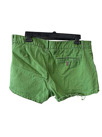 Uniqlo Shorts (view 2)