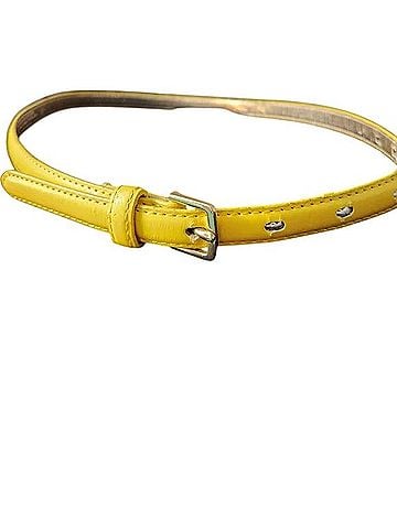 Xhilaration Belt (view 1)