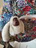 Kipling Backpack One size - photo 7