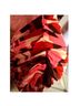 Express Cocktail Dress Size M - photo 9