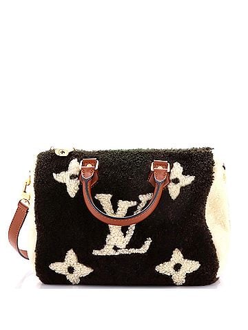Louis Vuitton Speedy Bandouliere Bag Monogram Giant Teddy Fleece 25 (view 1)