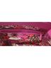 Vera Bradley 100% Leather Pink Leather Satchel One size - photo 10