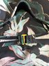 Tory Burch Floral Multi Color Two Piece Swimsuit Size XL - photo 8