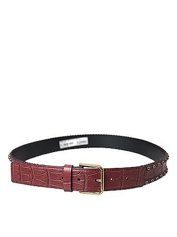 Dolce & Gabbana Basic Brown Alligator Leather Studded Metal Buckle Women's Belt (view 2)