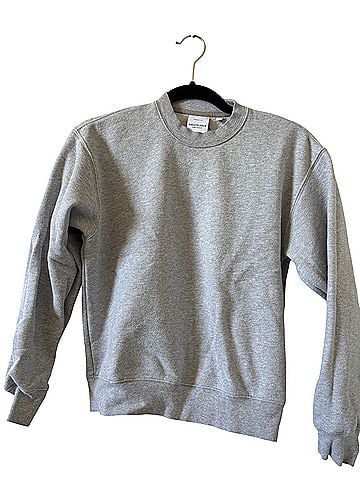 Aritzia Sweatshirt (view 1)