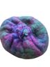 Donegal Design Multi Color Beanie One size (petite) - photo 1