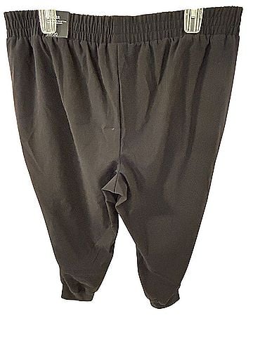 Lane Bryant Active Pants (view 2)