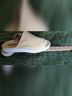 Lands' End Yellow Mule/Clog Size 6 - photo 8