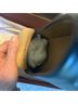 Bally 100% Leather Blue Flats Size 11 1/2 - photo 6