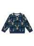 Posh Peanut Graphic Green Boy's Long Sleeve Sweatshirt Size 7 - photo 1