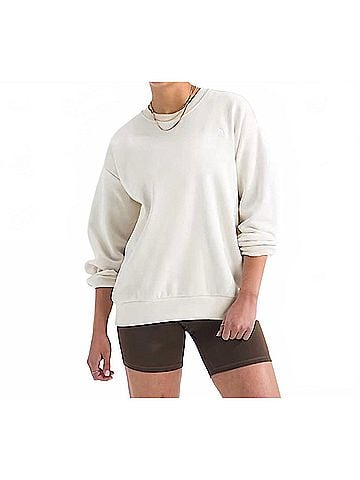 The North Face Evolution Simple Dome Oversized Crewneck Sweatshirt (view 2)