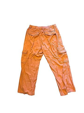 Pilcro Cargo Pants (view 2)